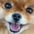 disregard Joe Groff's avatar
