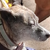 @bob@beamship.mpaq.org